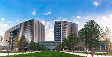 明天，看溫州